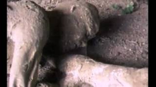 ИСТИНА МИРСКОЙ ЖИЗНИ - ГИБЕЛЬ ПОМПЕИ
