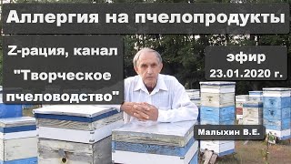 Аллергия на пчелопродукты. Z-рация, канал "Творческое пчеловодство" 23.01.2020 г.