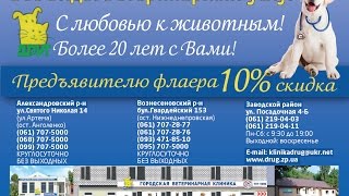 стерилизация животных,стерилизация собак,стерилизация котов,кастрация собак,кастрация котов,
