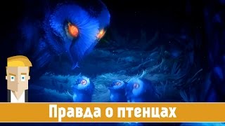Ori and the Blind Forest #11 - Правда о птенцах