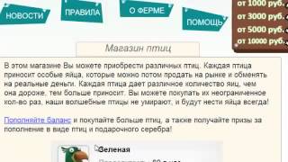Money birds  стратегия, чтобы зарабатывать больше!