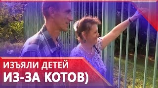 Москвичка, у которой изъяли детей из за котов, выходит замуж