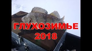 ГЛУХОЗИМЬЕ 2018 ??? Ловля окуня в корчах на балансир ручной работы