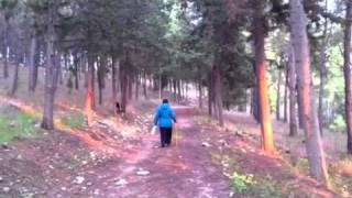 Прогулка в Йокнаме