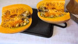Тыквенные семечки  - как заготавливать