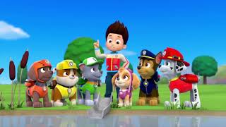Аудиосказка для детей Щенячий патруль. Побег из зоопарка - paw patrol