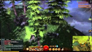 GW2 - Warrior Leveling Guide