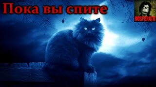 Истории на ночь - Пока вы спите