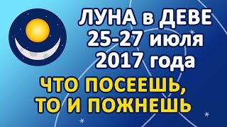 ЛУНА в знаке ДЕВА 25-27 июля 2017 года. Что посеешь, то и пожнешь