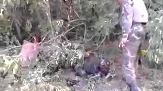 18+ сожжённая колонна боевиков  Донбасс