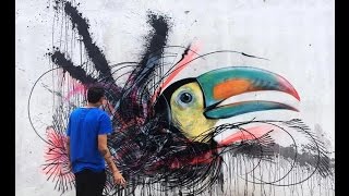 интересные факты о птицах  2 часть