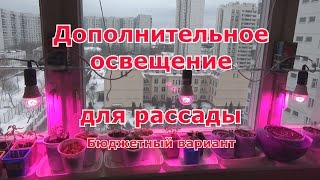 Дополнительное освещение для рассады своими руками  Бюджетный вариант  Фитолампы