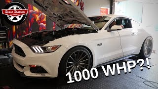 It's Back! 1000 WHP S550 Whipple 2015 Mustang GT Dyno