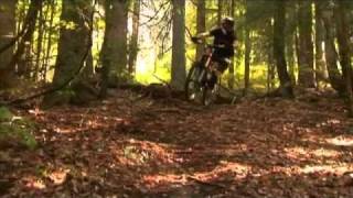 Champéry Downhill Freeride