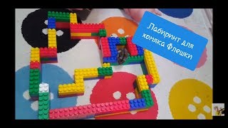 Лабиринт для хомяка Флешки