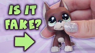 LPS HAUL! IS HE FAKE? Unboxing Littlest Pet shop Toys from Ebay!