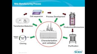 Mark Lies - Automated and Quantitative Analysis of Biologics Using the PA 800 Plus Pharmaceutical An