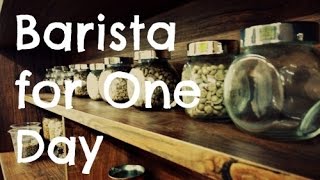 Barista for One Day - Learning how to drip coffee