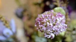 What is ISO or how to use ISO? Digital Photography Tutorial. Basic lesson for beginners