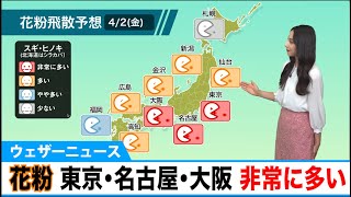 4月2日(金)花粉飛散予想　東京・名古屋・大阪 非常に多い