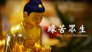 慧淨法師：緣苦眾生