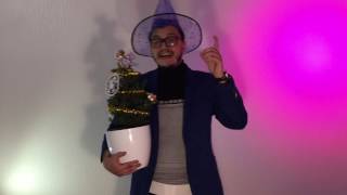 Новогоднее поздравление от Кибер Кобры для дивизионов и членов клуба