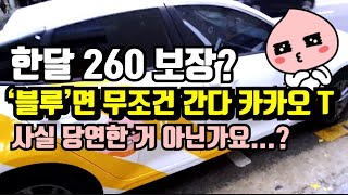 ‘블루’면 무조건 간다!...사실 당연한 거 아닌가요? 카카오T블루 택시 기사님과 솔직토크