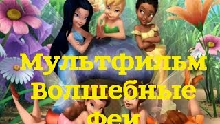 Мультик для детей Волшебные Феи Веселая математика 2 серия   Учимся считать с мудрым дубом