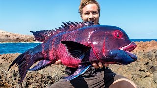 10 ऐसी मछलियाँ जिन्हें देखकर हर कोई हैरान है | 10 Most Unique Fish In The World