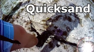 The Dangers of Quicksand Videos