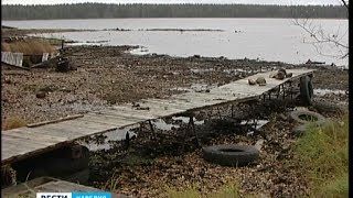 Гурвич: Жители посёлка в Прионежье самостоятельно спасают озеро