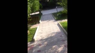 Отель Афалина - Анапа/Витязево ( Территория )
