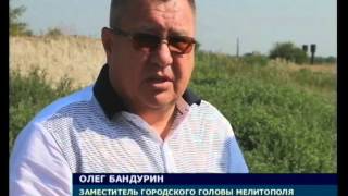 Мелитополь  Приют для животных