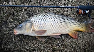 Сазан на УльтраЛайт. Shimano Soare XTUNE s709uls