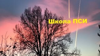 Обучение ясновидению и астральная комната Школа ПСИ 221