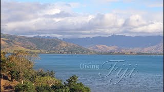 Diving Fiji