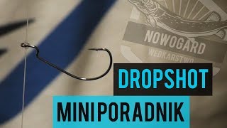 Dropshot MINIPORADNIK  -  Wędkarstwo Nowogard