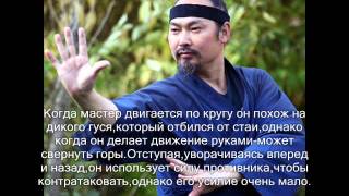 Багуа Чжан