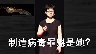 中國軍網揭露新冠病毒是人造，且找到“罪魁”鐵證！自曝家醜用意何在？武漢肺炎為何與艾滋病有幾處相似？(一平論政81，2020/02/12）