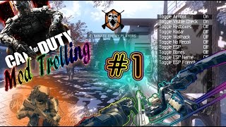 Black ops 3 Mod Trolling #1 "Aimbot Already!!?"