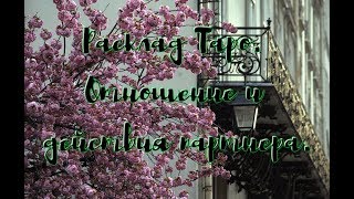 Расклад Таро. Отношение и действия партнера.