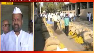 Sangli | Turmeric Trading Begins In Market With Good Note