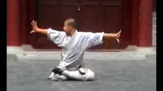 Shaolin Kung Fu Demonstration