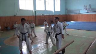 клуб сейкен.семинар по отработке ката басай-дай,басай-шо. Калуга 4 апреля 2016