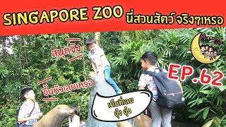 MommeChidjun EP 62 :พาลูกๆเที่ยวสิงคโปร์ ตะลุย Singapore Zoo และอีเวนท์ Rainforest Lumina สุดอลังการ