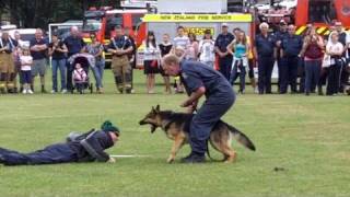 Police Dogs Demonstration, Pukekohe VFB Open Day, 20 Nov 2010
