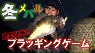 メバリング！冬のプラッギングゲーム！