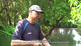 荔枝窩河的故事: 訪問荔枝窩村原居民曾偉強 Story of Lai Chi Wo River- Interview with Mr. David Tsang