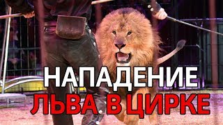 Лев напал на дрессировщика