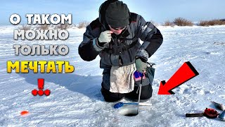 ЛЕСКА на ПРЕДЕЛЕ, ЭТИ МОНСТРЫ КЛЕВАЛИ ТОЛЬКО на ДЕЛИКАТНЫЕ СНАСТИ. ЗИМНЯЯ РЫБАЛКА.